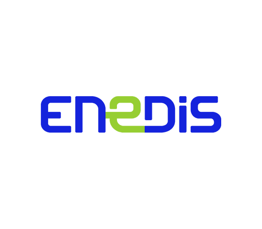 Logo Enedis