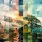 S’engager au-delà des projets : FG Design soutient Naturevolution